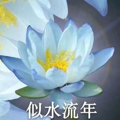 香港将于8月举办盂兰文化节